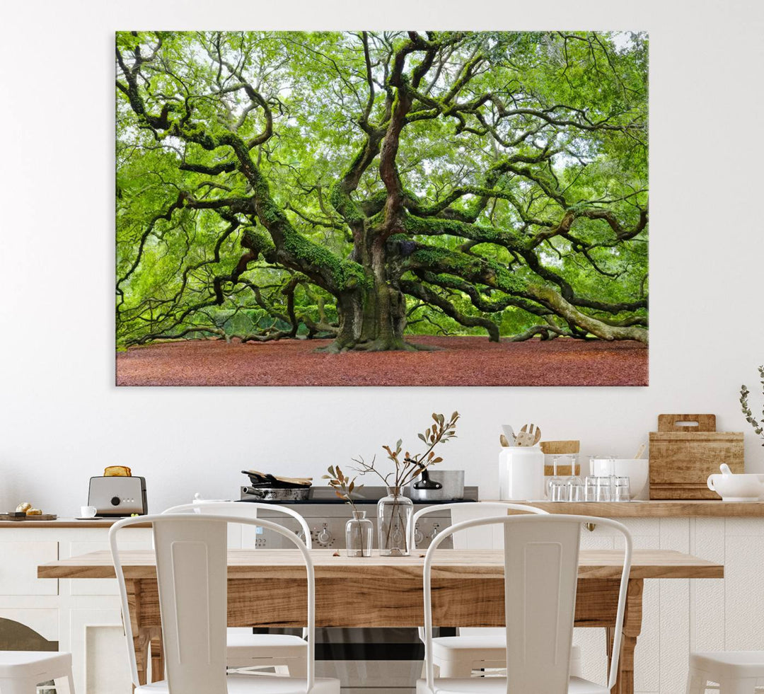 Framed Angel Oak Tree Wall Art: Large 3-panel green nature canvas, ready to hang.