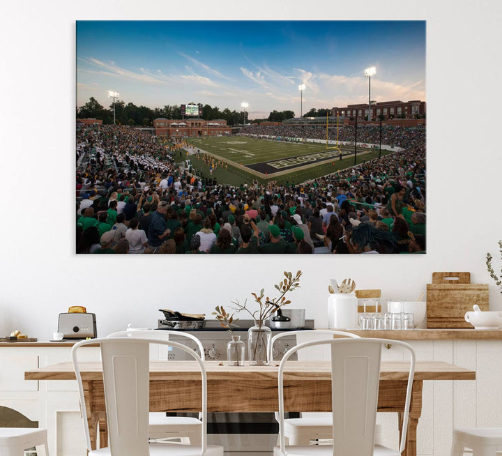 Wall art: University of Charlotte 49ers Football Team at Jerry Richardson Stadium.