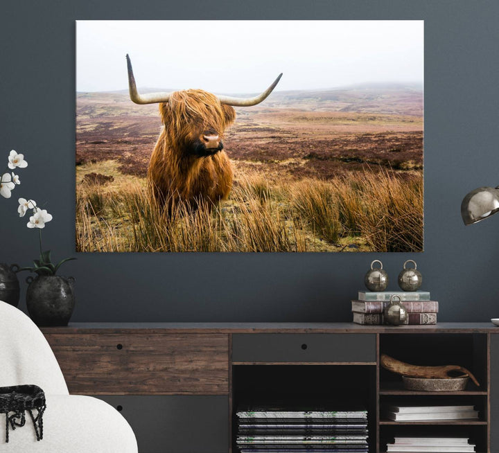 A ready-to-hang Scottish Highland Cow Cattle Canvas Wall Art.