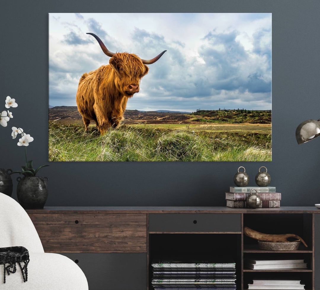 Highland Cattle Canvas Print: A minimalistic touch for any setting.