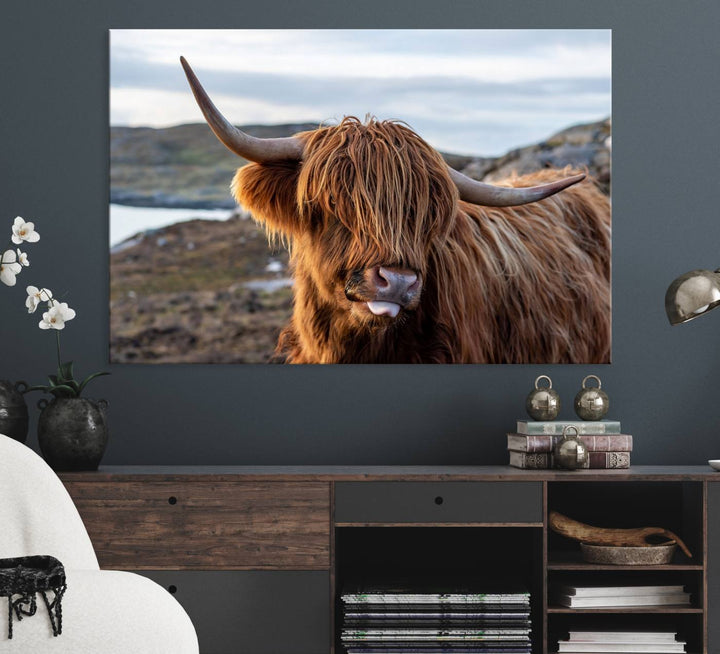 The Cuddly Highland Cow Canvas hangs, adding charm with its shaggy elegance.