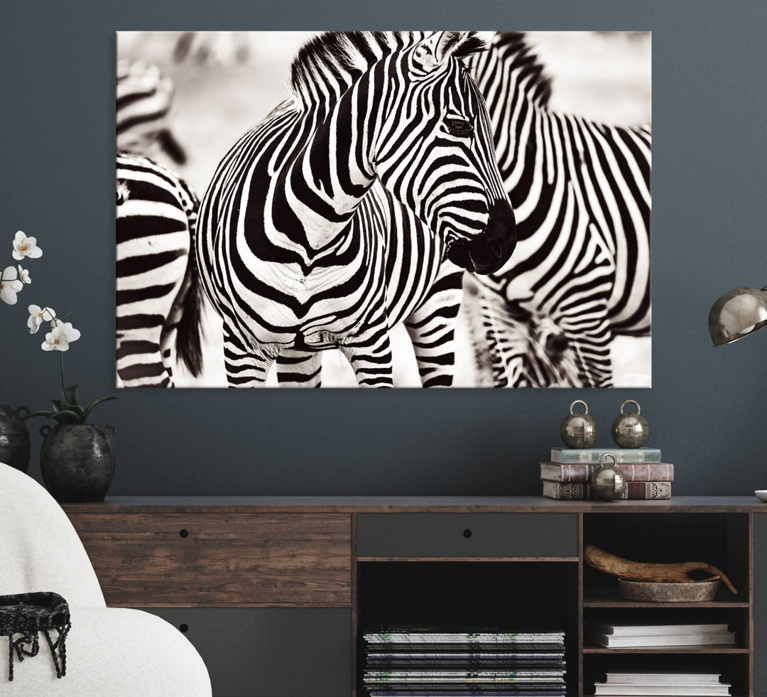 The Brilliant Zebra Photography Art Canvas Print hangs prominently on the wall.