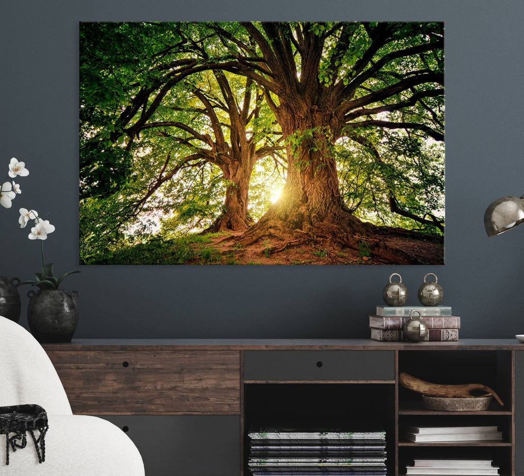 Majestic Ancient Tree Wall Art is illuminated by sunlit forest rays.