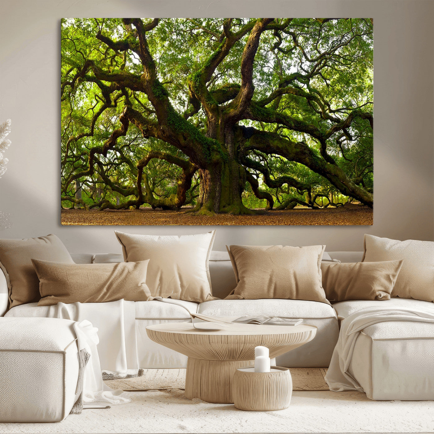 MGV-CV-36X24 - Angel Oak Tree Wall Art Canvas Print | Forest Tree Nature Photography Print on Canvas | Large Triptych Art for Living Room or Office Decor