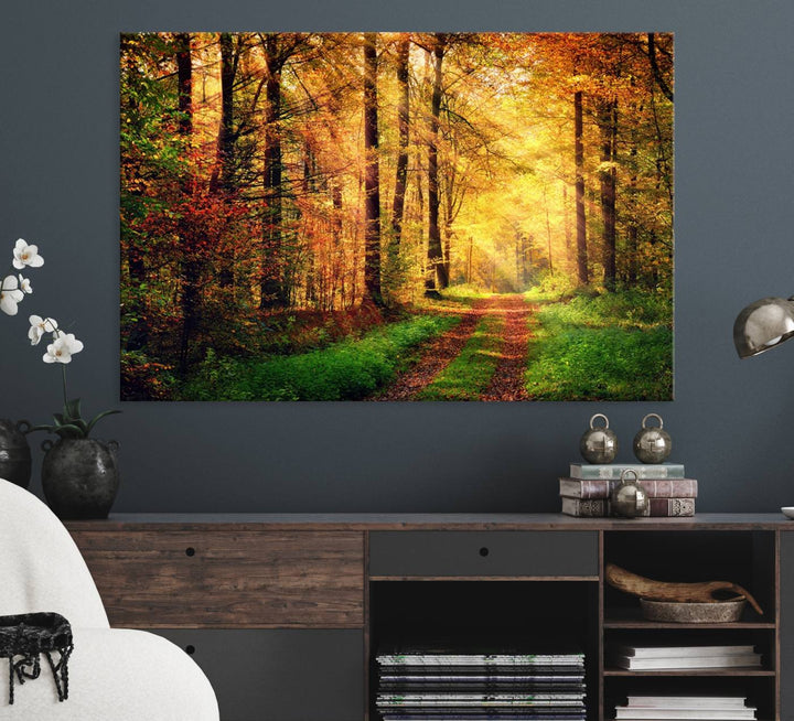 The Sunlight Through Trees Wall Art Canvas Print showcases a sunlit autumn forest and includes UV protection to ensure lasting vibrance.