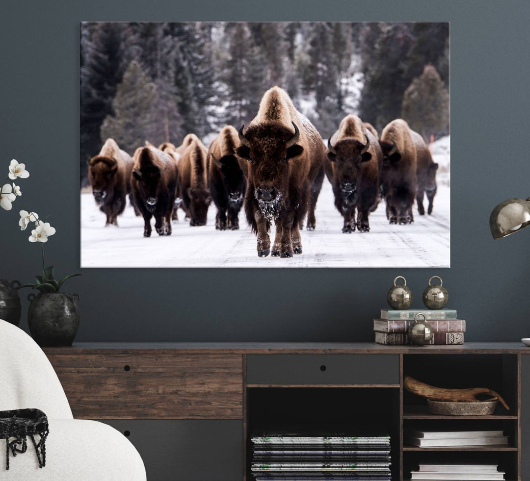 Bison Herd Canvas Wall Art.