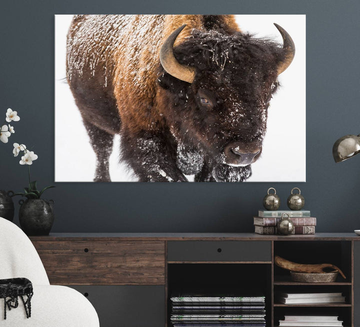 Bison Wall Art Canvas.