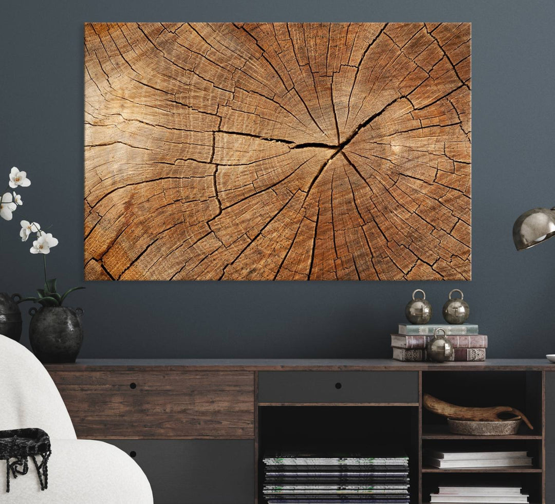 Tree Ring Canvas Art decorates a textured wall.