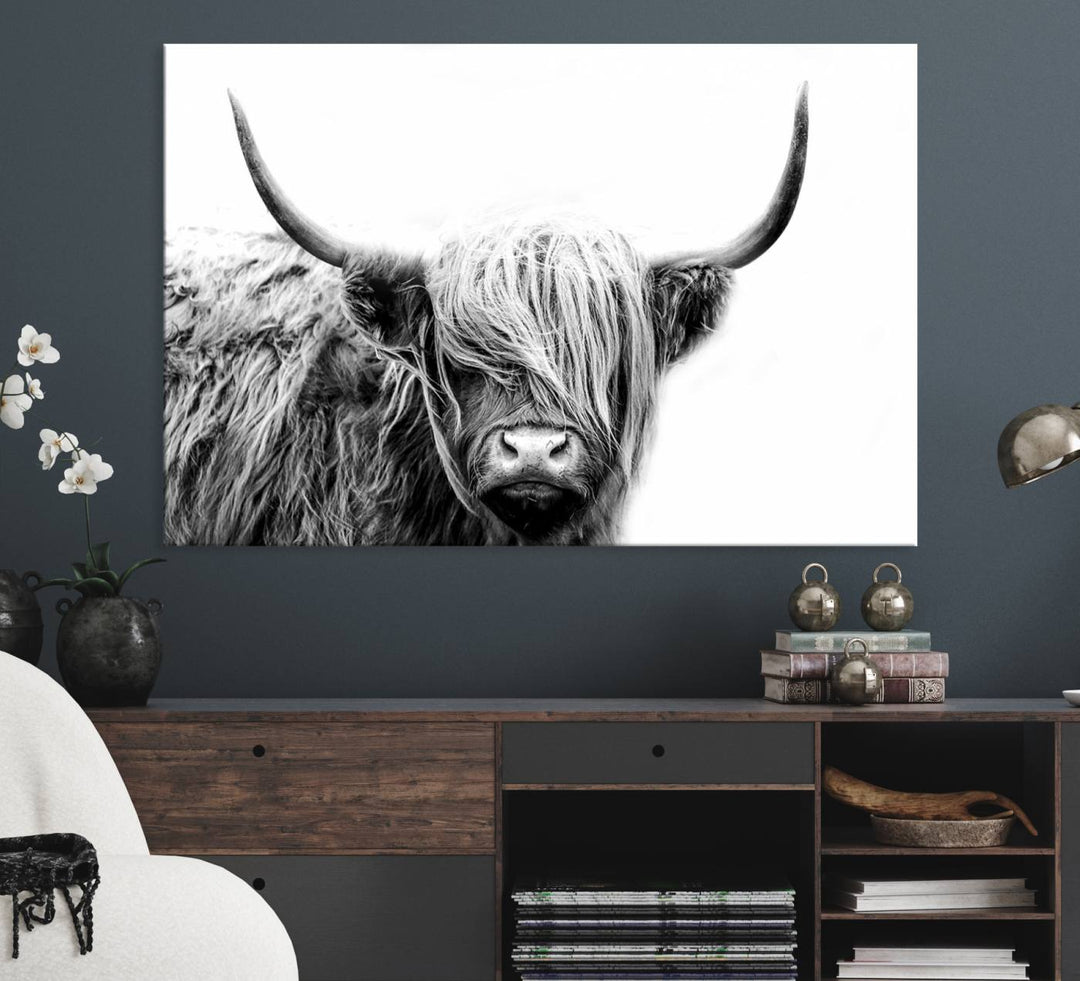 Framed Black and White Scottish Highland Cow Art Print.