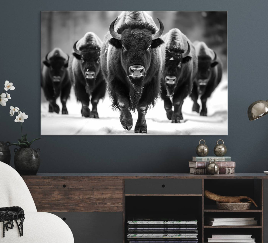 A black and white American Bison herd canvas print adorns the wall.