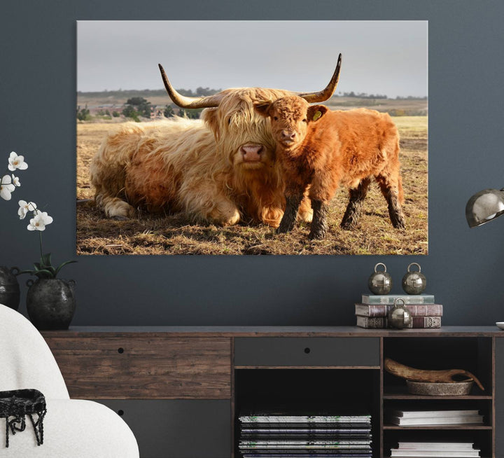 Highland Cow Canvas: a light brown cow and calf in the field, ideal farmhouse decor.