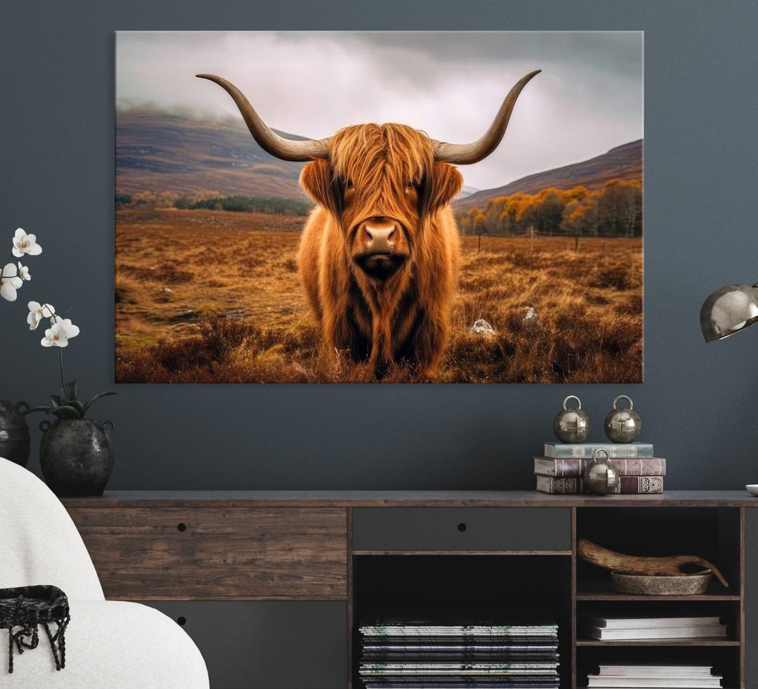 Highland Cow Longhorn Canvas Print, framed, on a wooden wall.