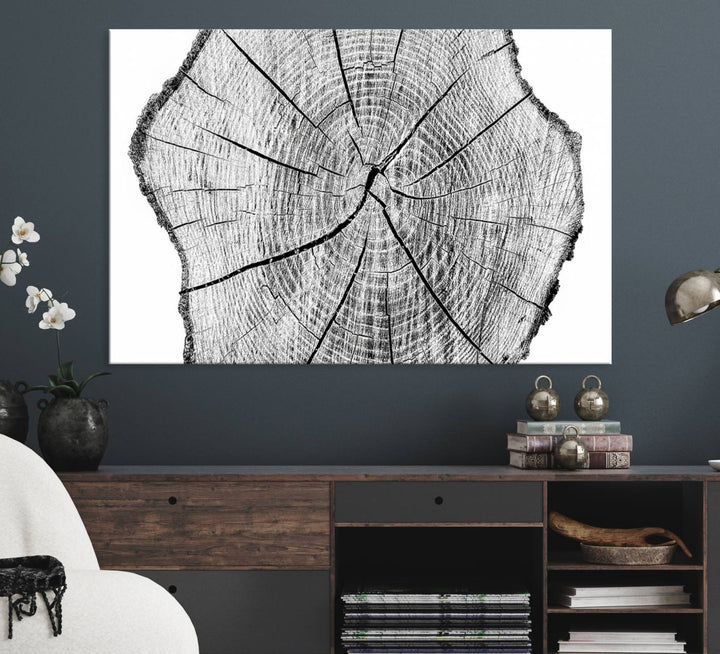 Black and white tree ring art print.