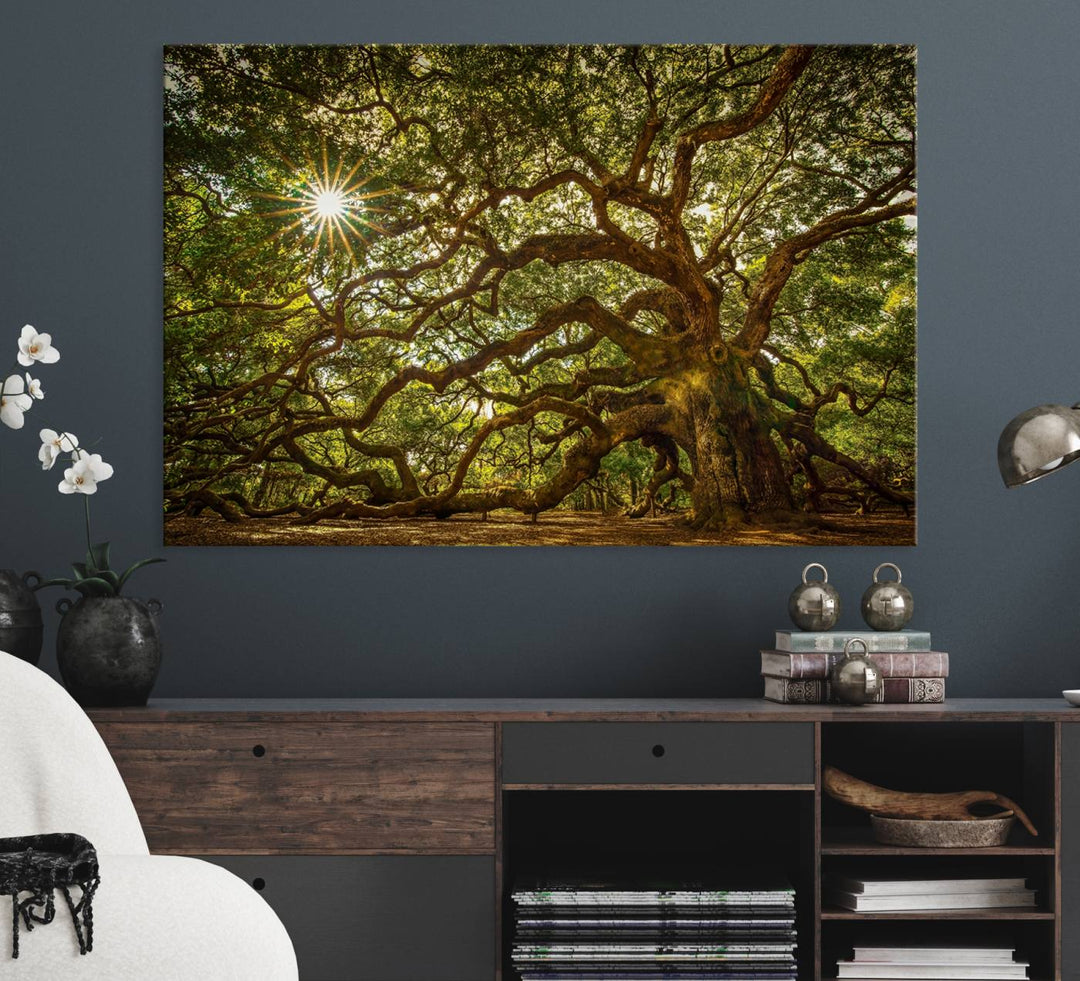 The Ancient Angel Oak Tree Art Sunburst Canvas Print, a framed triptych, serves as wall art.