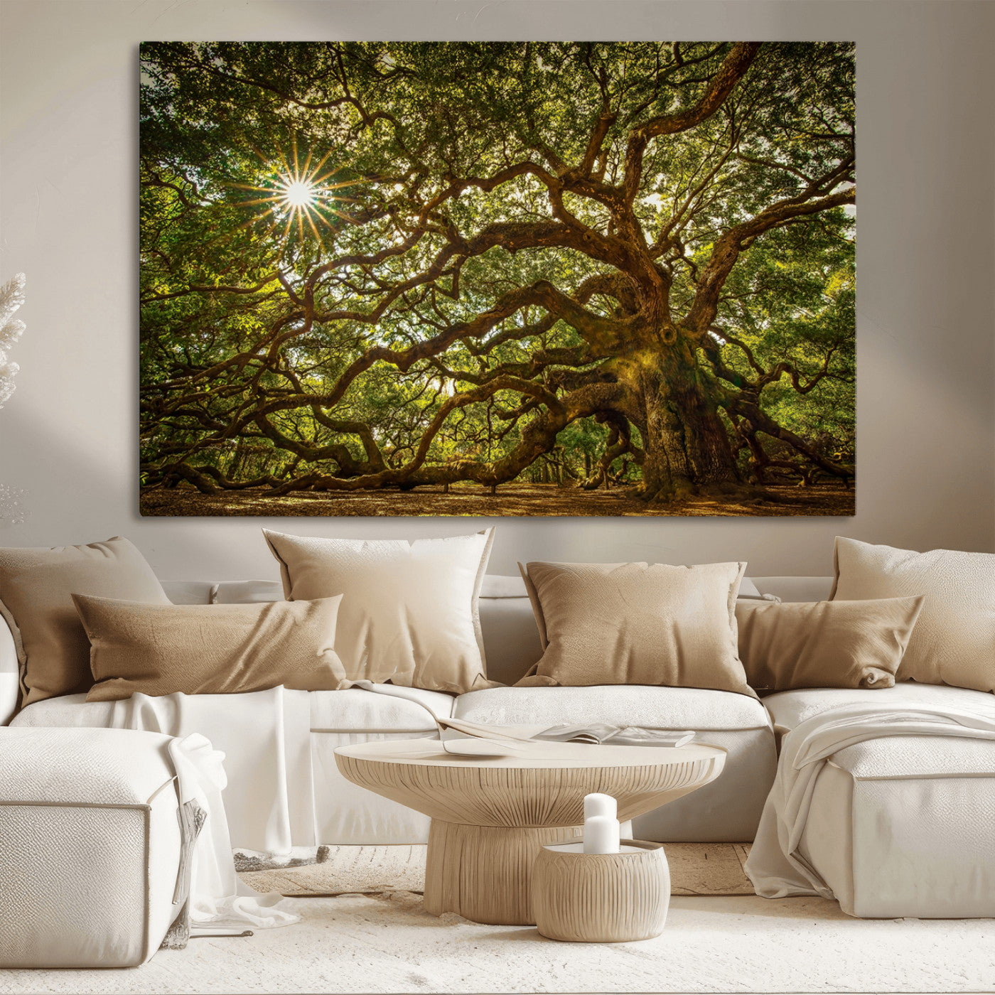 MGV-CV-36X24 - Ancient Angel Oak Tree Art Sunburst Canvas Print- Nature-Inspired Triptych Canvas Print, Framed, Ready to Hang