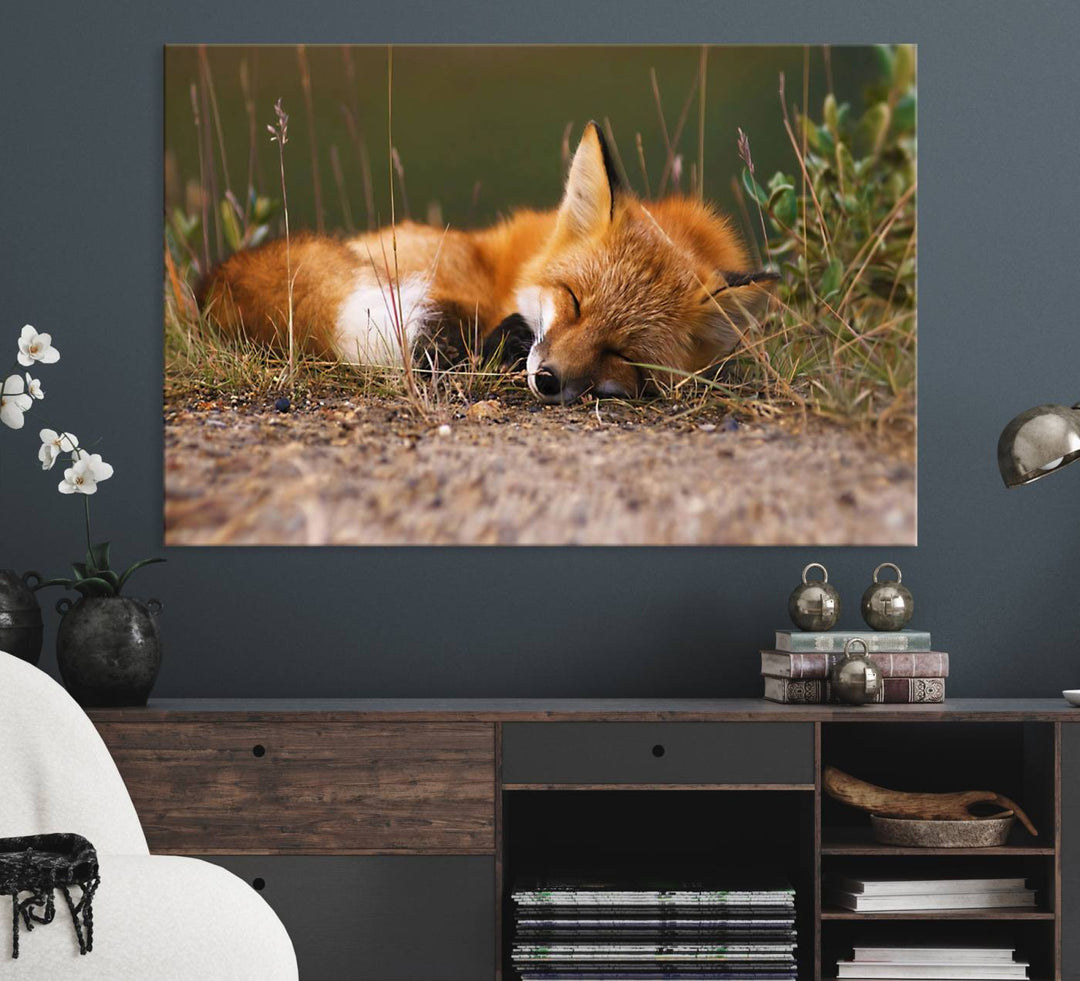 The Sleeping Fox Wall Art Canvas Print is ideal for farmhouse decor.