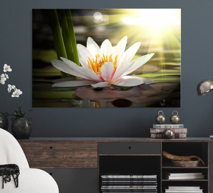 The Lotus Flower Wall Art Canvas Print showcases a white water lily with a yellow center floating gracefully in sunlight.