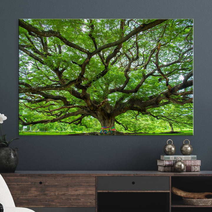 Oak Tree Wall Art Print, Forest Canvas Wall Art for Home and Office, Framed Angel Oak Tree Canvas Art Printing