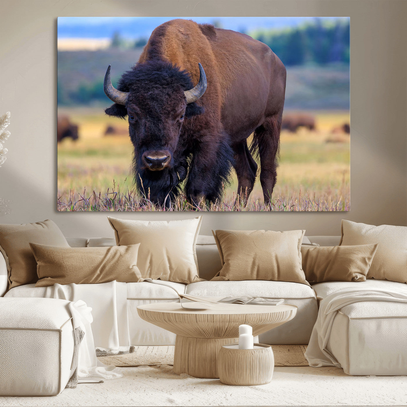 Close-up of a strong American bison standing in a grassy prairie with a blurred herd in background, perfect for rustic lodge decor.