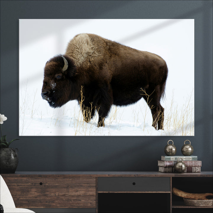 Bison Photography Wall Art Canvas Print, Framed Western Wildlife Art Picture Print, Buffalo On Snow Perfect Western Decor Artwork