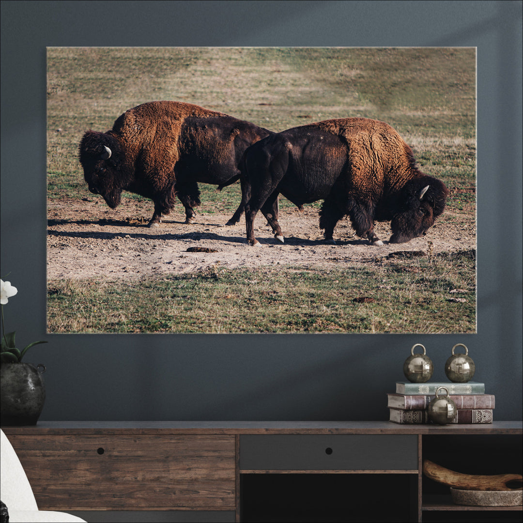 Bison Photography Wall Art Canvas Print, Framed Western Wildlife Art Picture Print, Modern Ranch Perfect Western Rustic Decor Artwork
