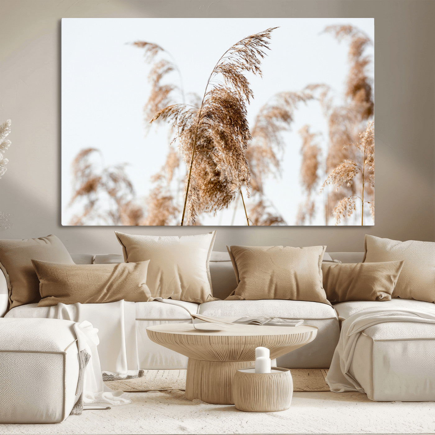 Close-up of pampas grass swaying in the wind against a soft white sky, creating a neutral and minimalist botanical aesthetic.