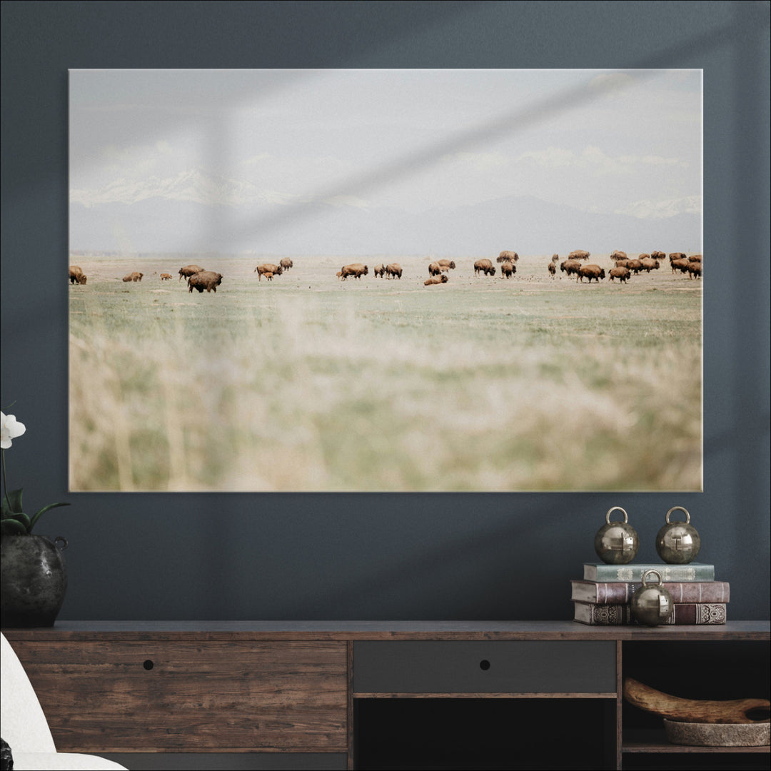 Bison Herd Wall Art Canvas Print, Framed Western Art Picture Print, Bison Perfect Ranch Decor Artwork