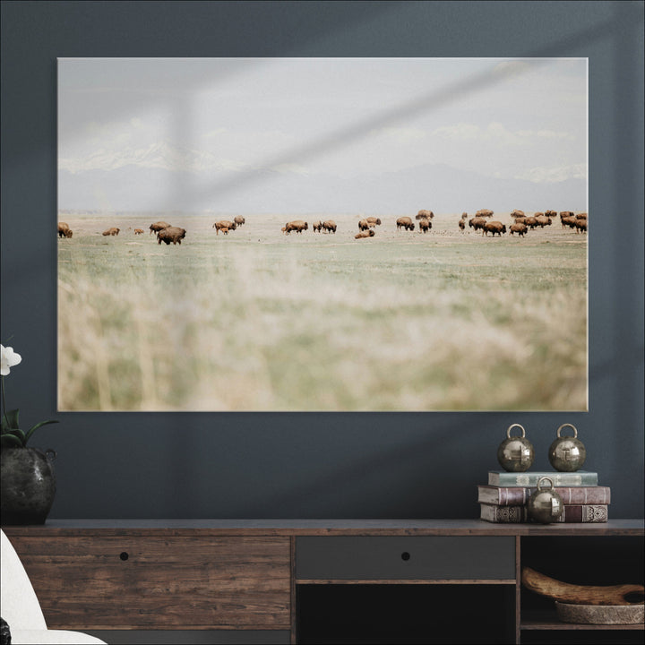 Bison Herd Wall Art Canvas Print, Framed Western Art Picture Print, Bison Perfect Ranch Decor Artwork