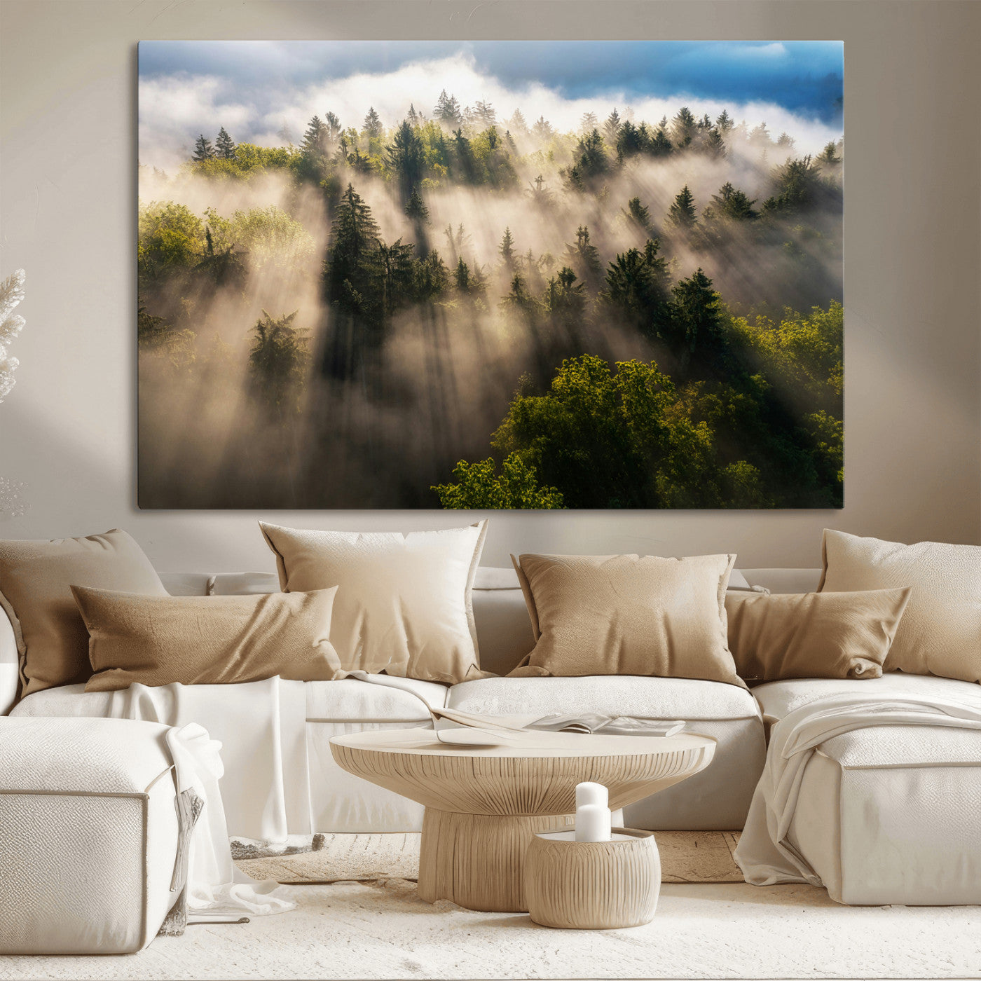 Sunlight streaming through misty pine trees in a lush green forest, creating a serene and atmospheric landscape, perfect for nature-inspired decor.