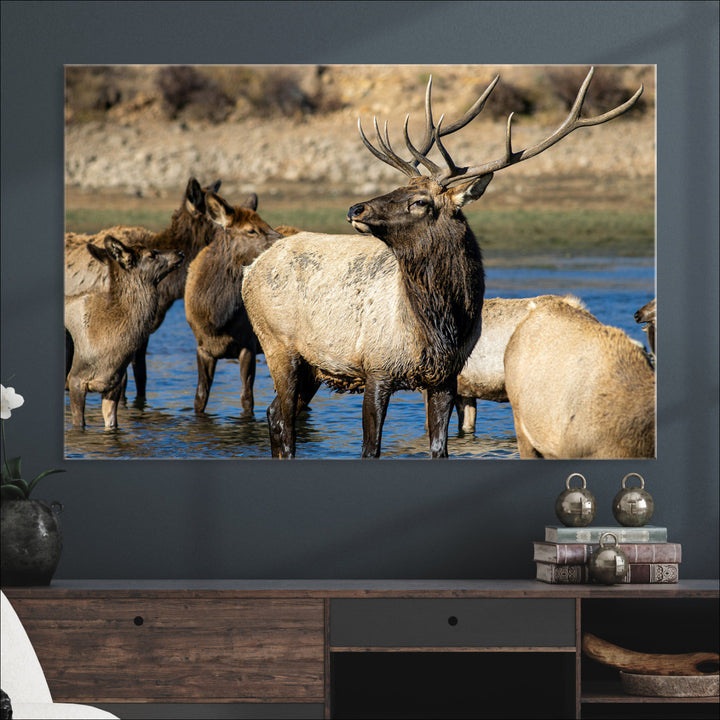 Wild Elk Photography Wall Art Canvas Print, Framed Neutral Wildlife Scene Art Picture Print, Rustic Animal Print Perfect Rustic Farmhouse