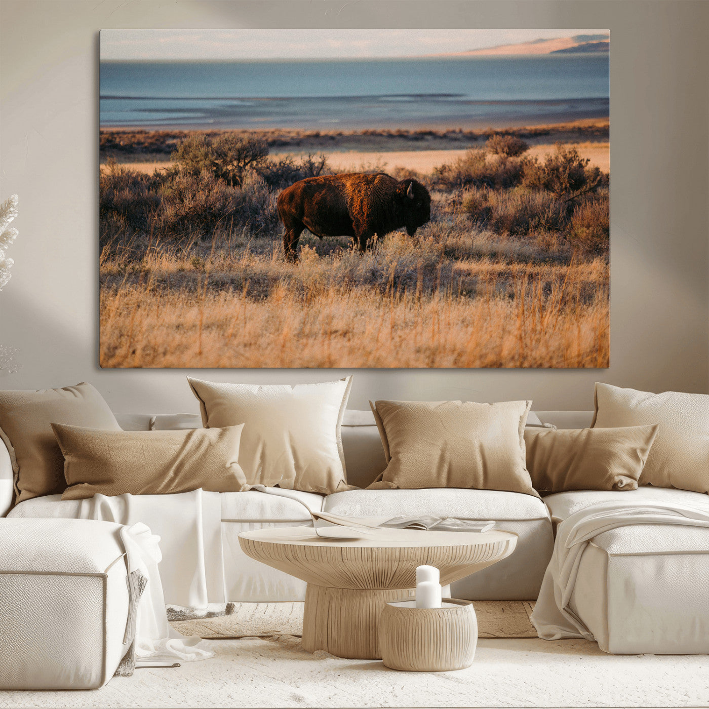 A lone bison grazing in golden prairie grass at sunset, with warm earthy tones and a distant lake view, perfect for rustic and western decor.