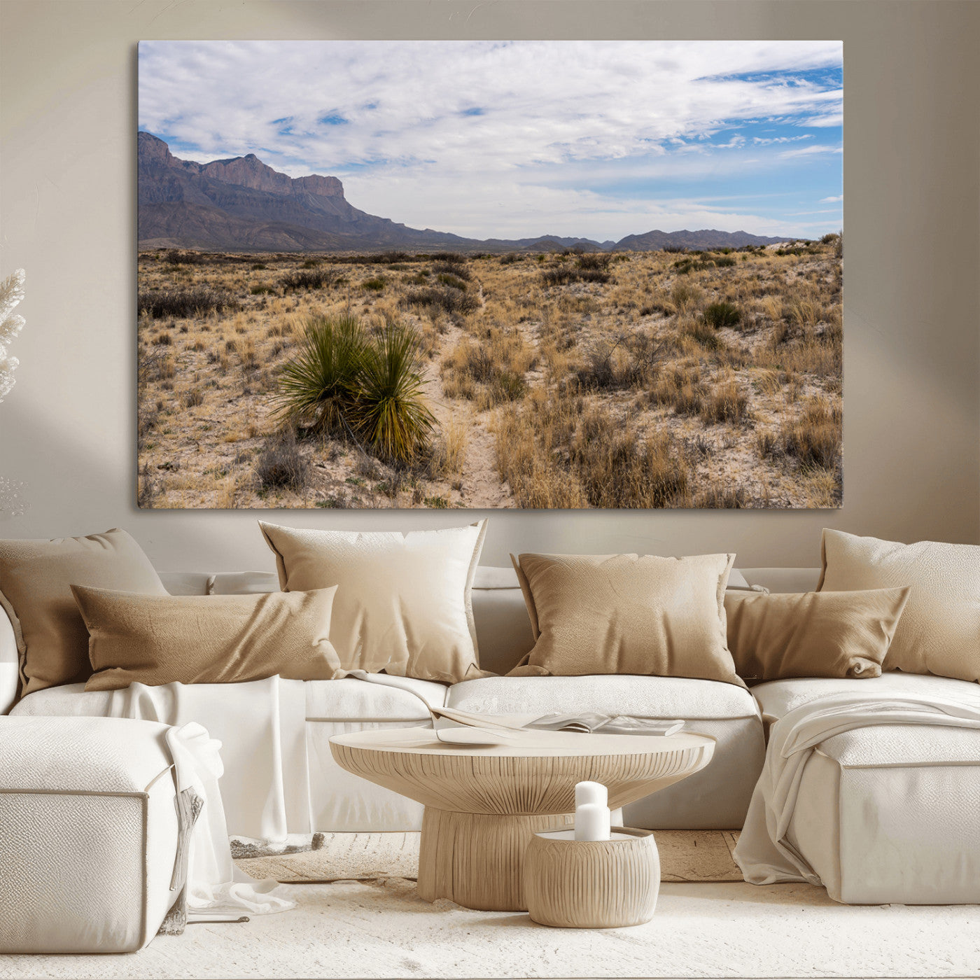 A scenic desert landscape with dry grasses, scattered shrubs, and a distant mountain range under a partly cloudy blue sky.