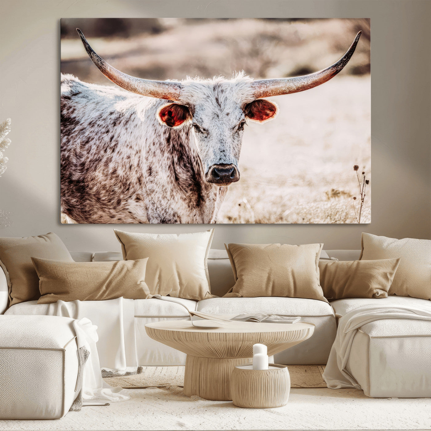 Close-up photograph of a white and brown speckled longhorn cow with very large, curved horns standing in a sunlit field with dry grass and blurred background.