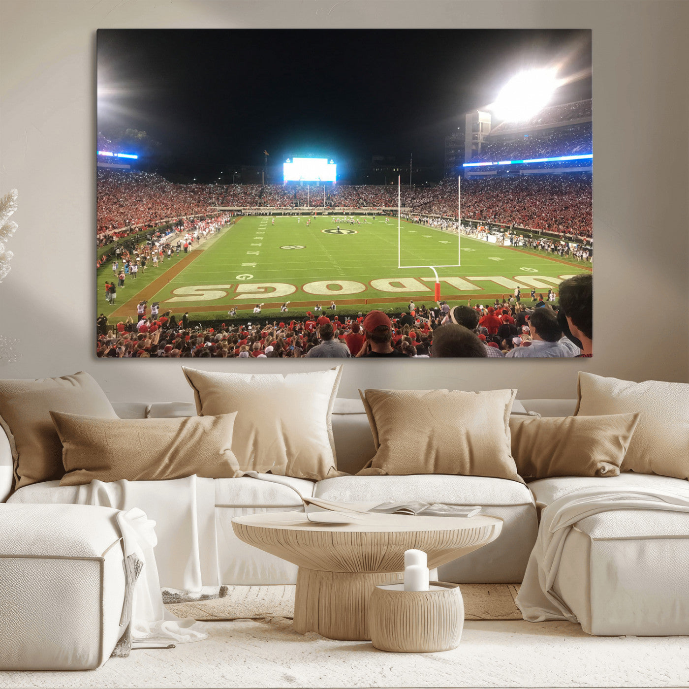 Dooley Stadium Wall Art Print, Sports Arena Canvas Wall Art, Panoramic Stadium Canvas Print, Modern Athletic Field Art Printing