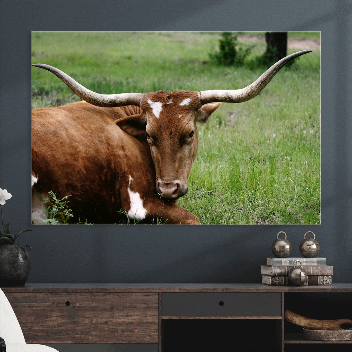 45997-MGV-CV-36X24-Longhorn Cow Animal Wall Art Canvas Print
