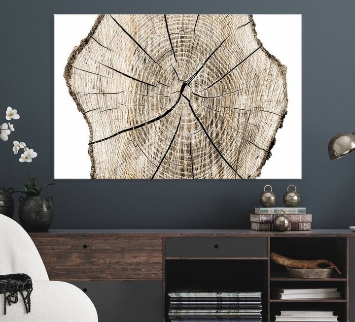 The Abstract Wood Tree Ring Wall Art set of 3 adds a minimalist touch to the space.