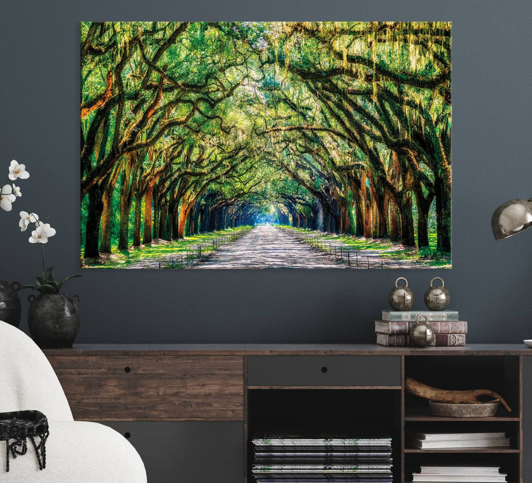 The Serene Tree Tunnel Canvas Print decorates the wall.