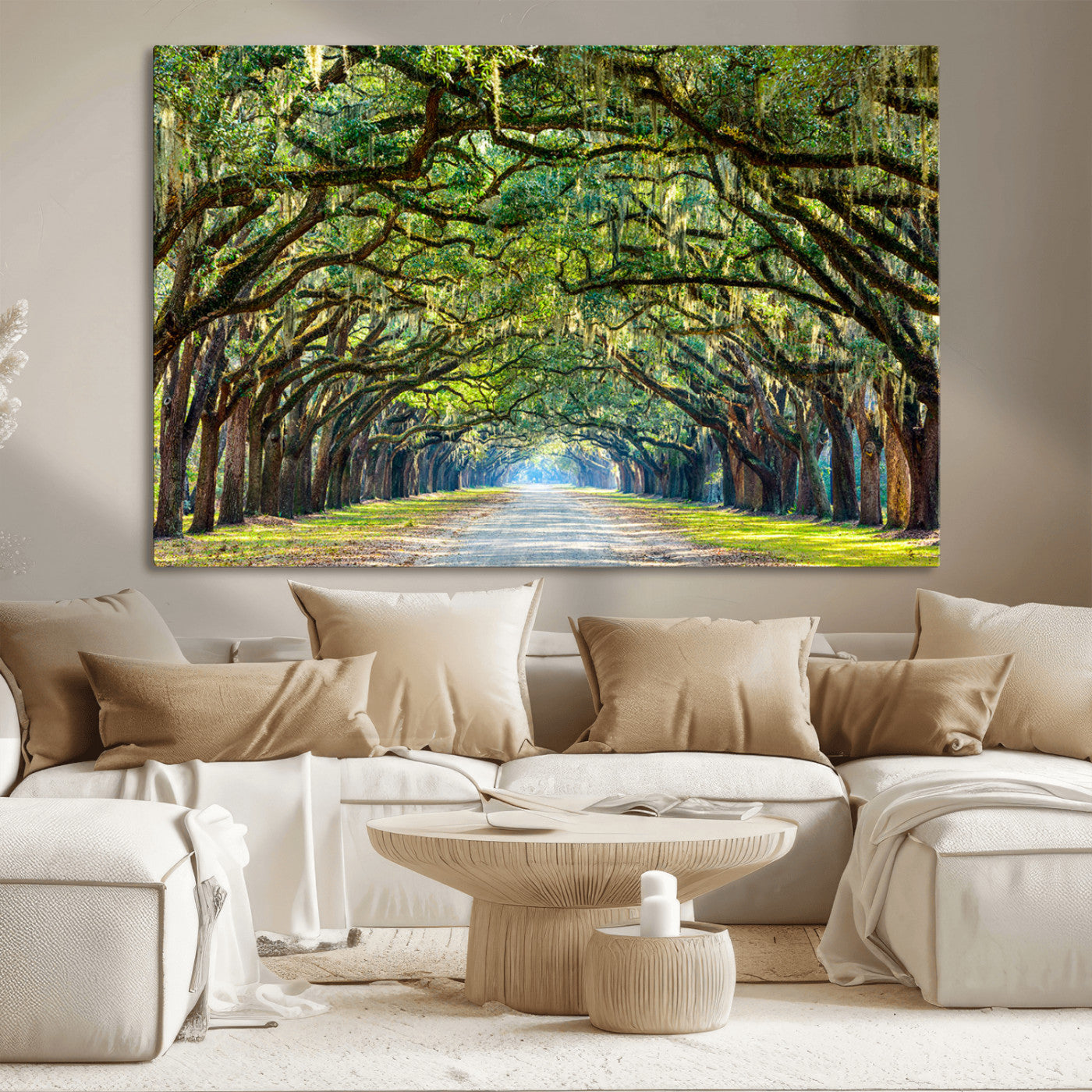 MGV-CV-36X24 - Wormsloe State Plantation Driveway Wall Art Canvas Print