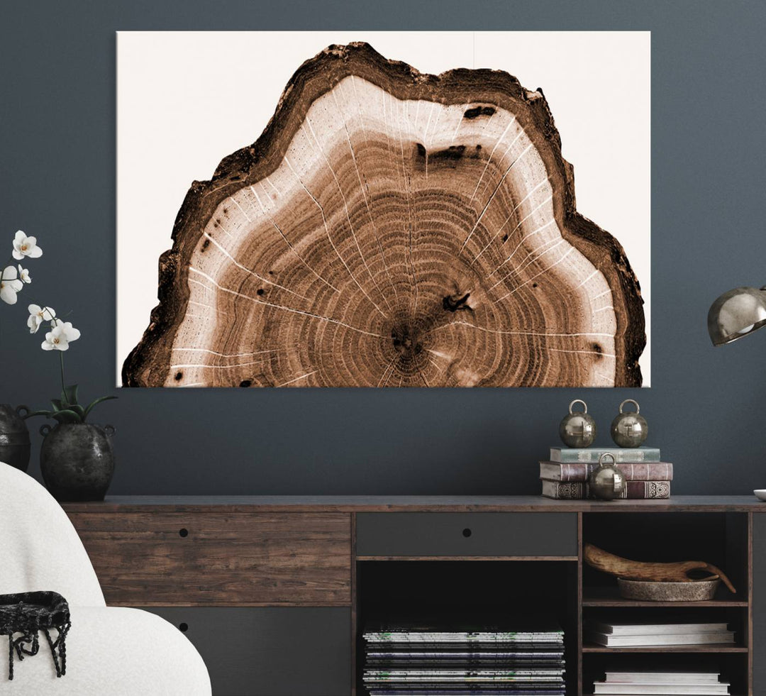 Close-up of the Rustic Wood Rings Wall Art featuring detailed tree rings and natural texture on a plain white background.