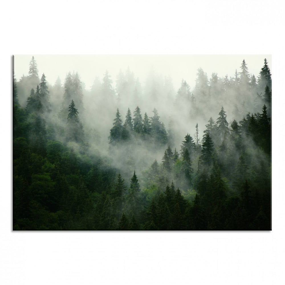 The Misty Forest Wall Art Canvas Print captures a serene, foggy evergreen landscape, evoking a mysterious woodland ambiance.