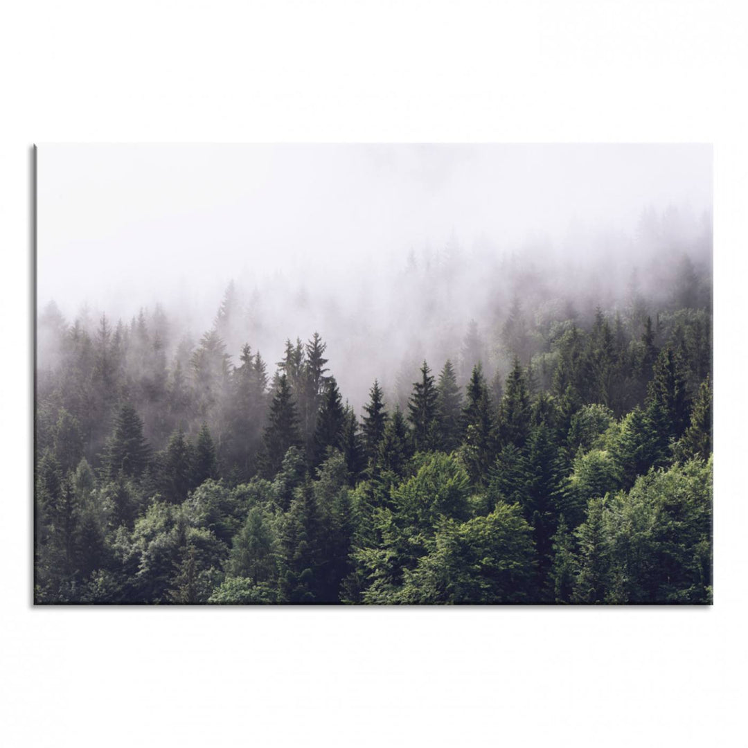 A serene triptych nature print featuring a misty forest, perfect as wall art.