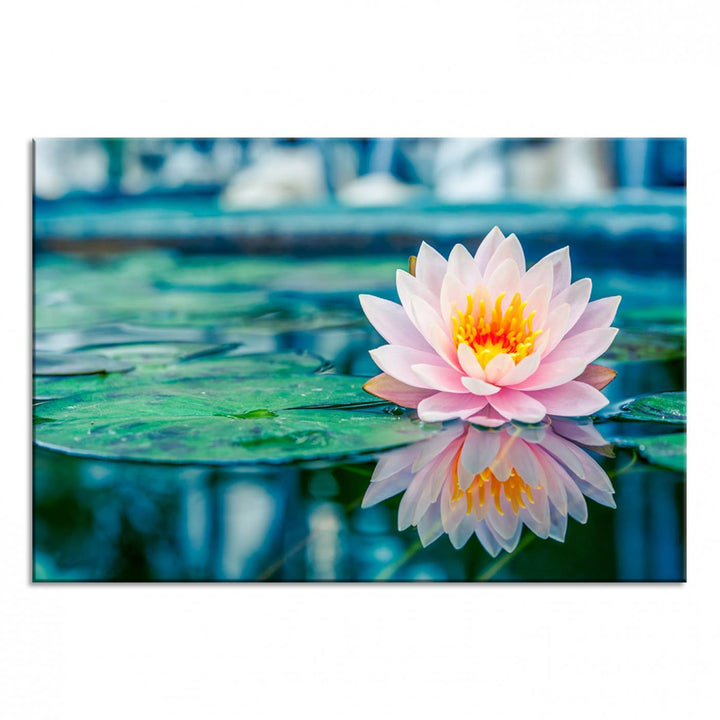 The Lotus Flower Canvas Print showcases a pink water lily with a yellow center gracefully floating on a calm pond.