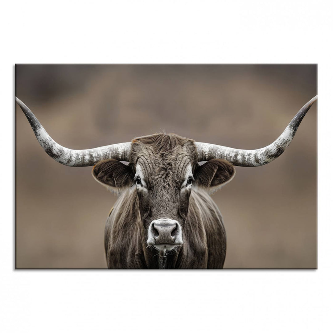 A close-up of a longhorn bull facing forward is featured in the Framed Texas Test-1, set against a blurred brown background.