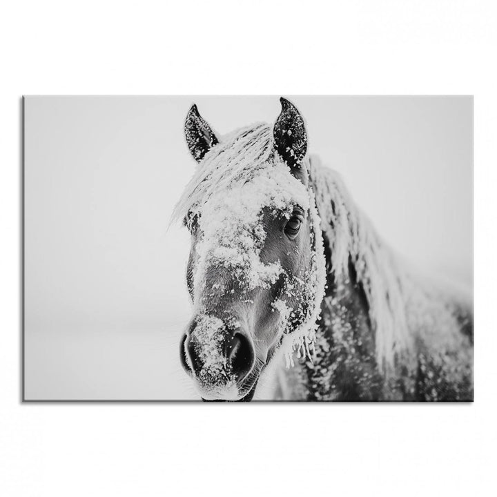 White Horse Wall Art: A black and white photo of a snow-covered horse, framed and ready to hang for farmhouse decor.