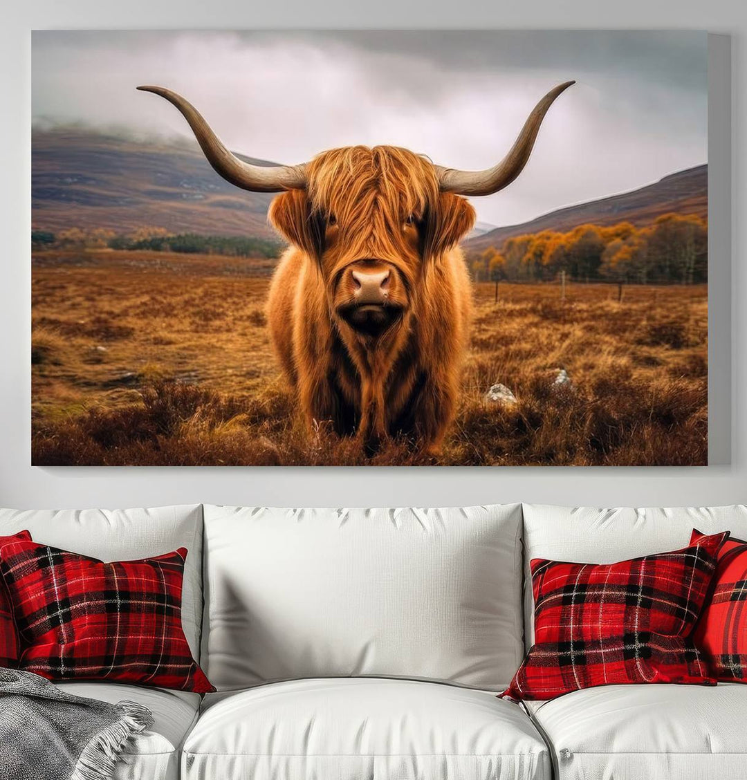 Highland Cow Longhorn Canvas Print, framed, on a wooden wall.