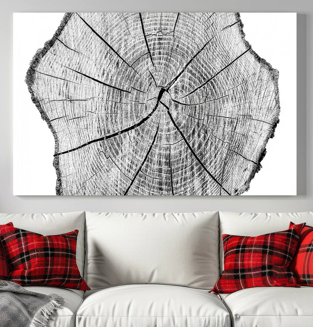 Black and white tree ring art print.