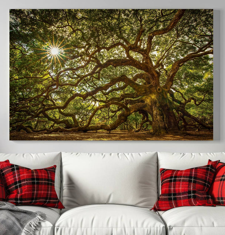 The Ancient Angel Oak Tree Art Sunburst Canvas Print, a framed triptych, serves as wall art.