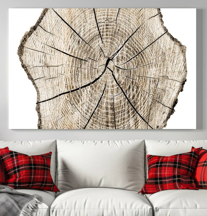 The Abstract Wood Tree Ring Wall Art set of 3 adds a minimalist touch to the space.