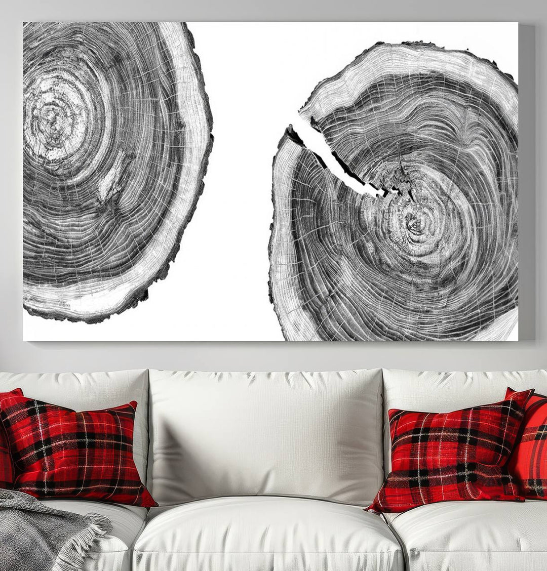 The modern black and white tree rings canvas art adds minimalist geometric decor with nature inspiration.