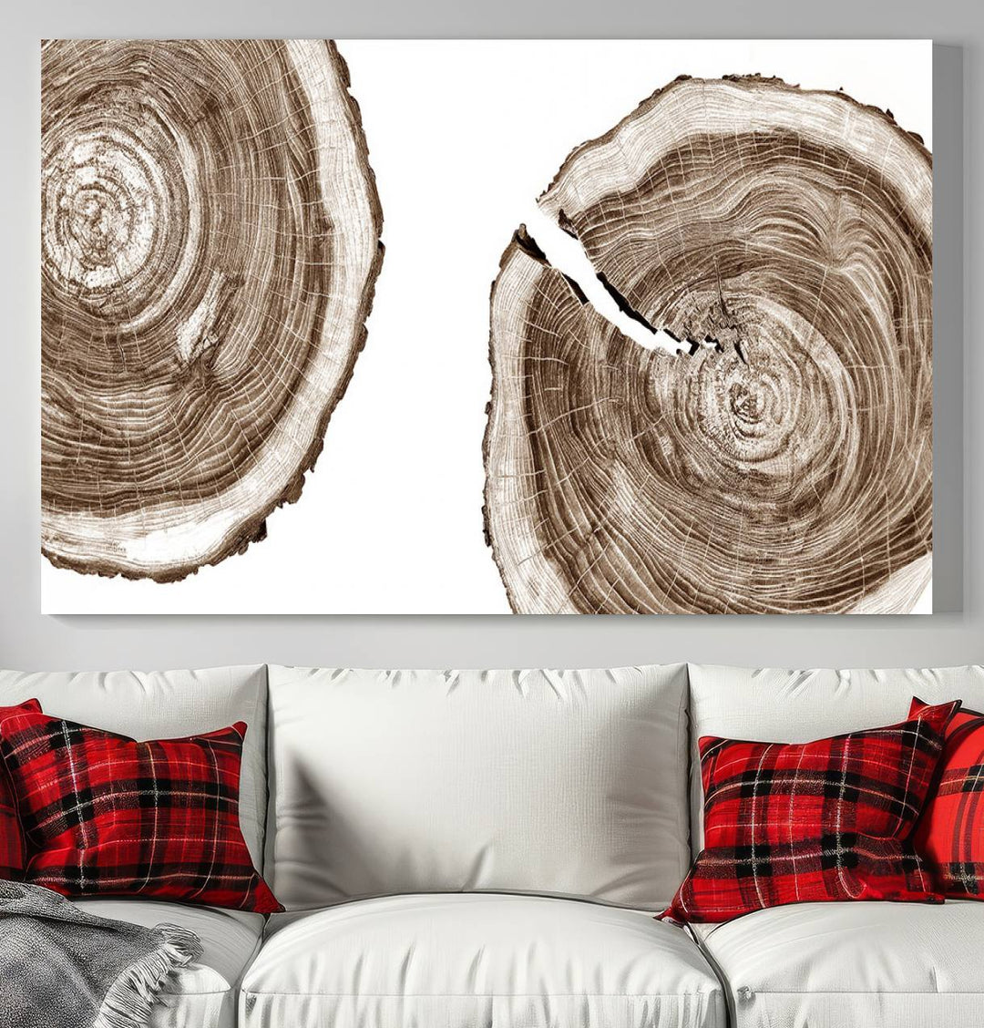 Wood Tree Ring Wall Art on a minimalist black and white canvas.